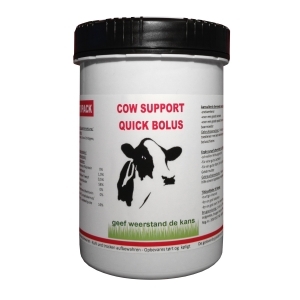 COW SUPPORT QUICK BOLUS